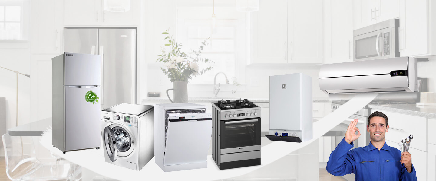 Horasan Electrolux Servisi